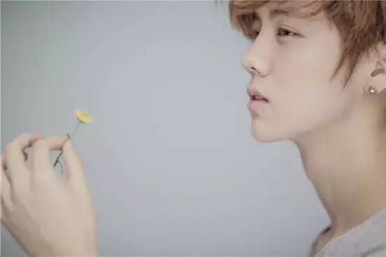 鹿晗树深时见鹿小说,鹿晗森林里的小鹿