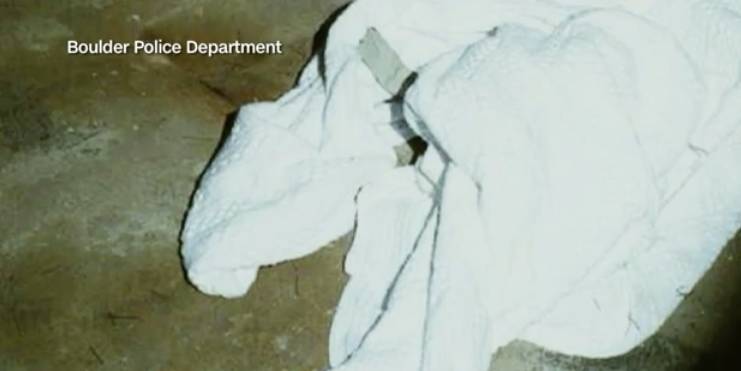 美国童星被杀案,美国童模被杀案