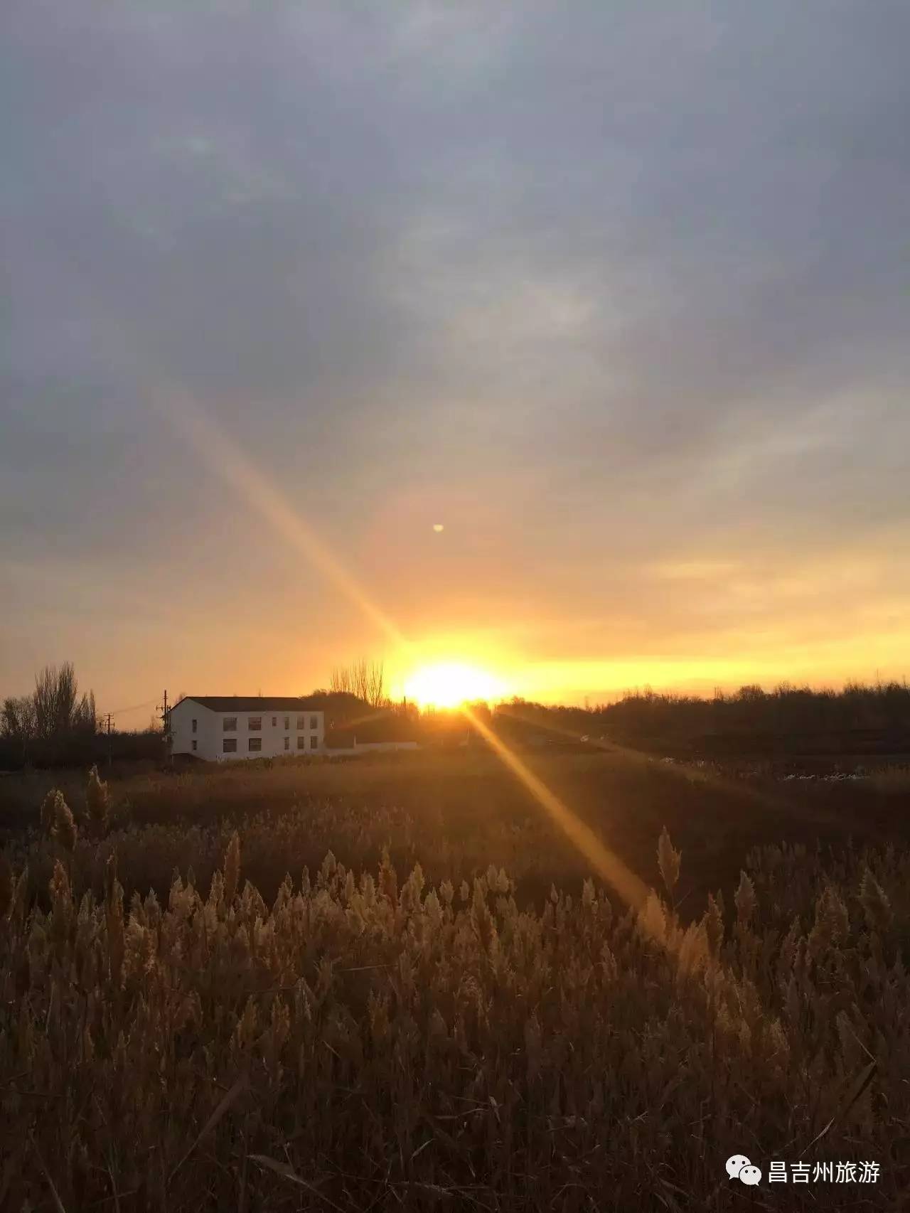 昌吉春天周末游玩,昌吉芸农庄旅游攻略