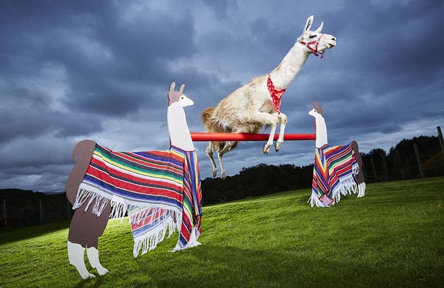 《吉尼斯世界纪录大全2017》开售又有哪些世界之最？