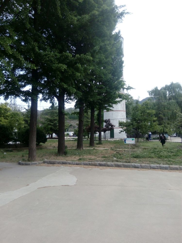 淄博二中,淄博往事