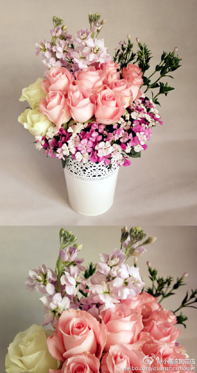 不买花也可以聊人生！泉州有家花店，专治失恋与主妇间歇躁郁症