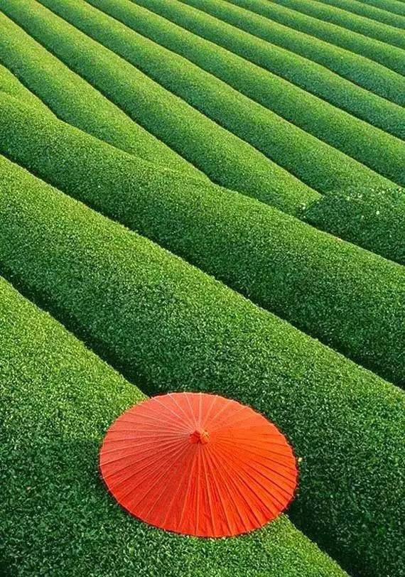 一条让你美到“质疑人生”的微信！