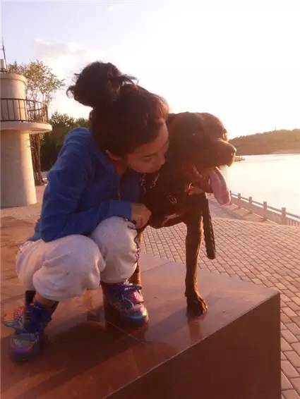 怀孕时养狗狗有问题吗,怀孕养狗会导致胎停吗