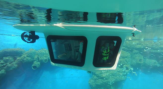 成都有没有哪里能看海,成都有海的地方一天游