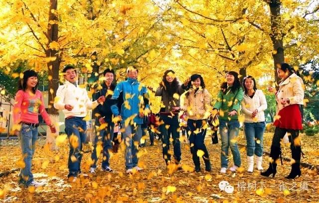 空军大院银杏大道视频,空军大院地址