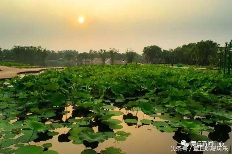 别怀疑，这就是百脉泉！竟如此惊艳，你是否从未见过！