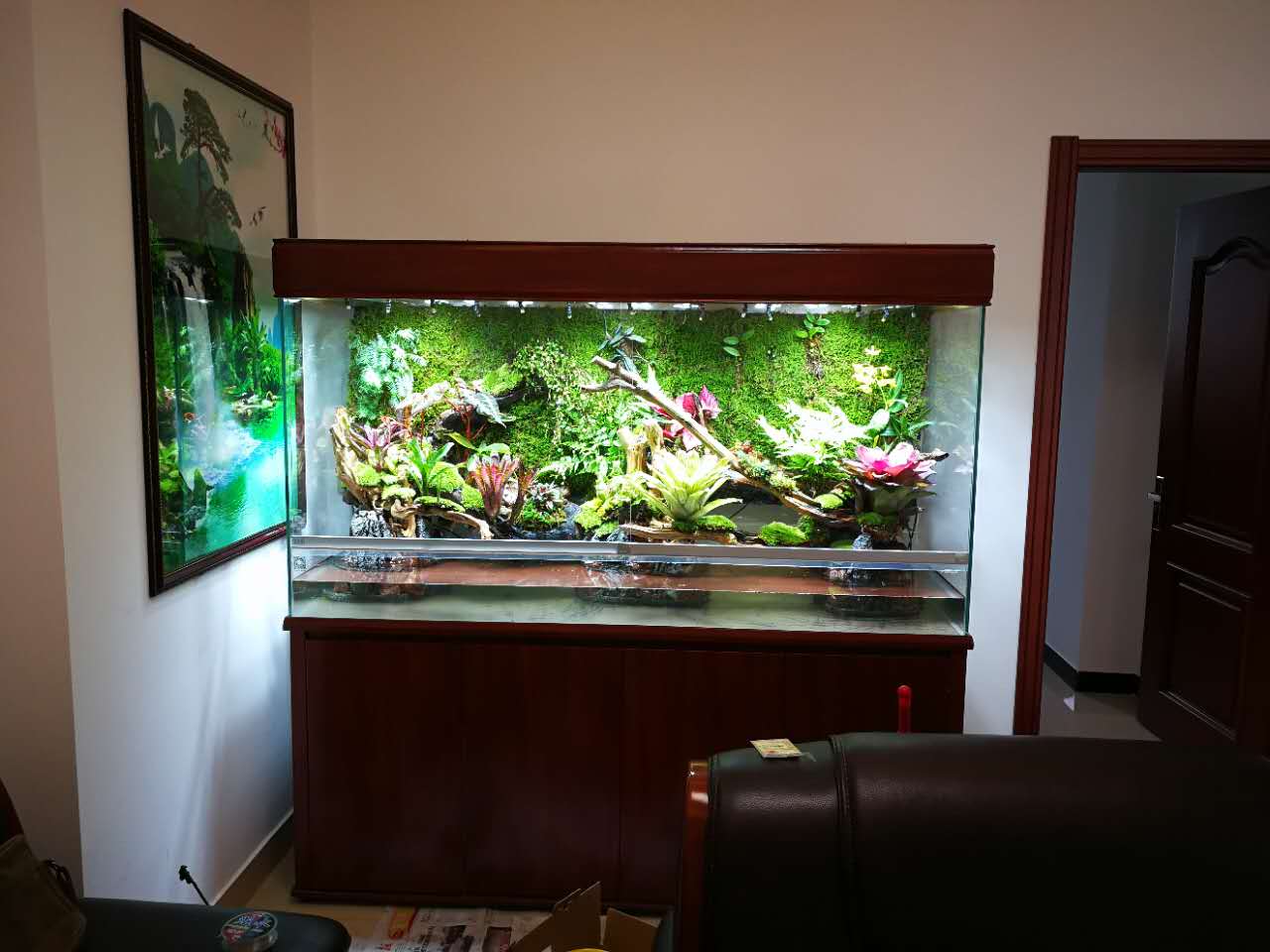 水族行业最新商业模式,水族店规划