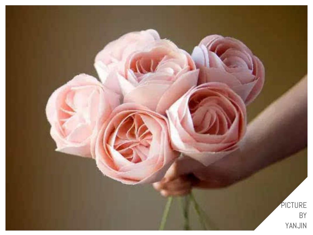 世界上最贵的花是什么,史上最贵的十种花和价格