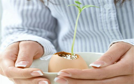 胎儿停育前的3大征兆,胎儿停育的五大征兆