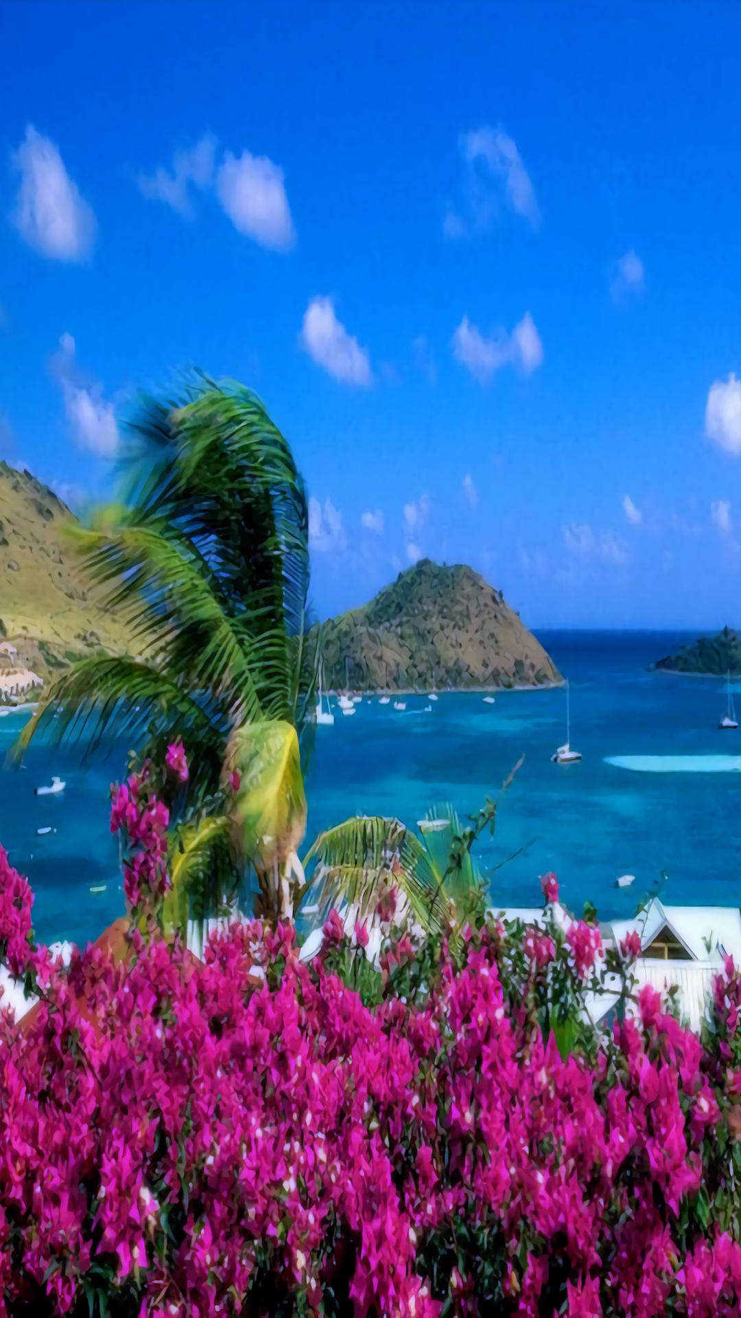 娉曞浗娴极鎵嬫満澹佺焊,鏈変竴绉嶆氮婕彨鑾鑺卞洯