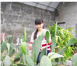 零投资赚钱项目,如何找项目去投资