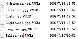 wannacry病毒怎么处理,wannacry病毒测试
