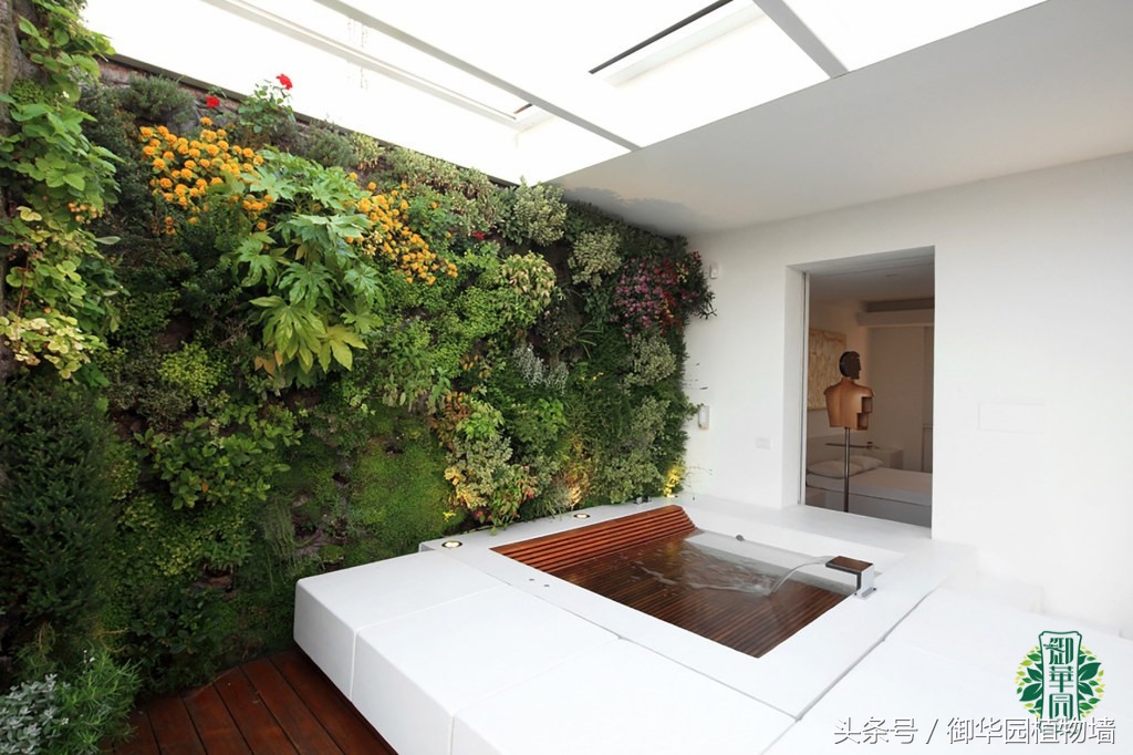 别墅植物墙设计费用,别墅大面积墙面设计