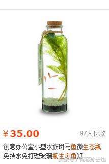 制作生态瓶发现了什么,制作生态瓶你发现了什么