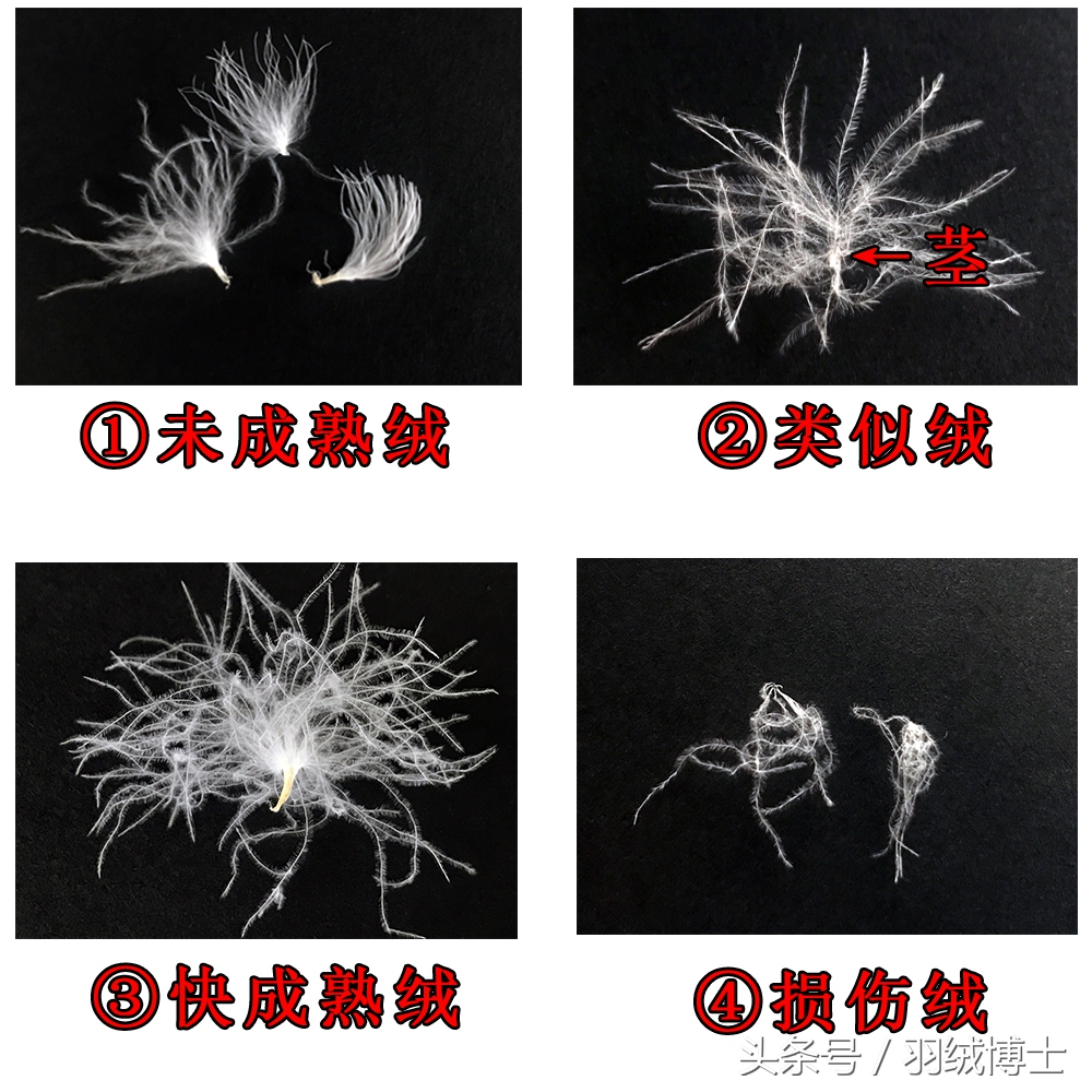 生产假冒伪劣羽绒服,羽绒服假冒伪劣产品