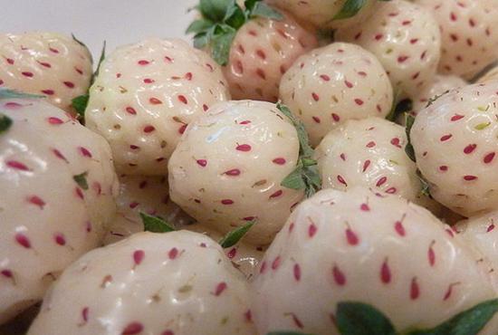 看一下那些你没有吃过的奇葩水果,哪十大奇葩水果吃了很富有