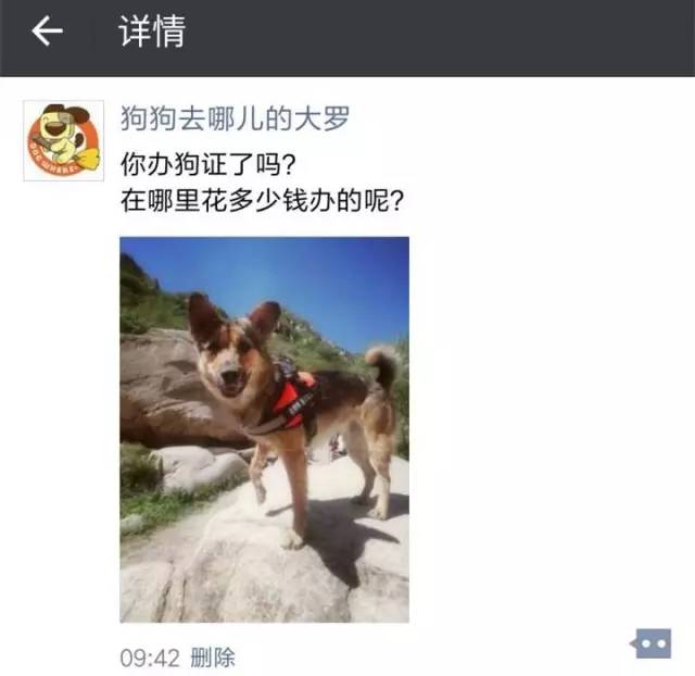 办狗证疑问在线解答,福州狗证办理多长时间能拿到狗证