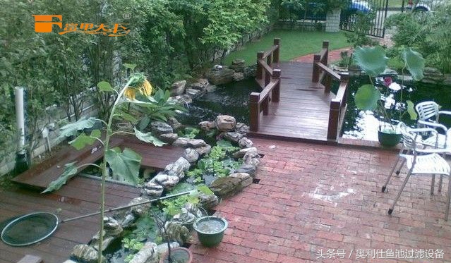 大型鱼池建造过程及施工方法,省钱鱼池建造过程及施工方法