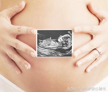 产前有什么症状和前兆,母猪产前征兆有哪些