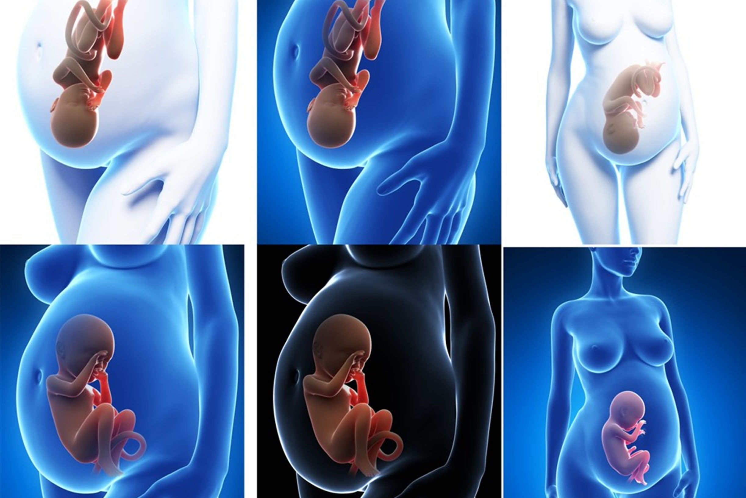 孕妈请注意羊水真的很重要,羊水的主要生理功能