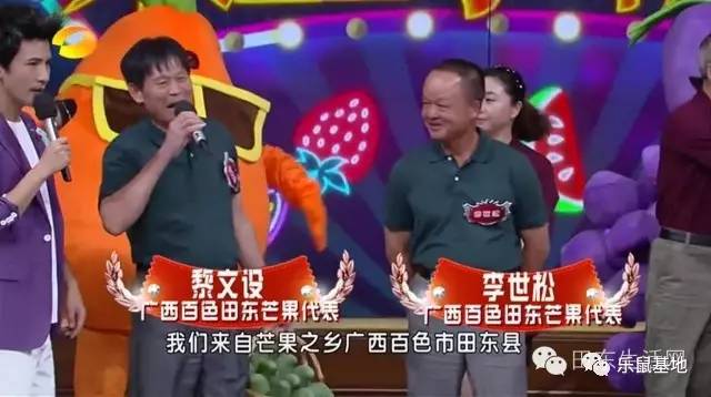 芒果的发展史 (一分钟带你了解芒果)