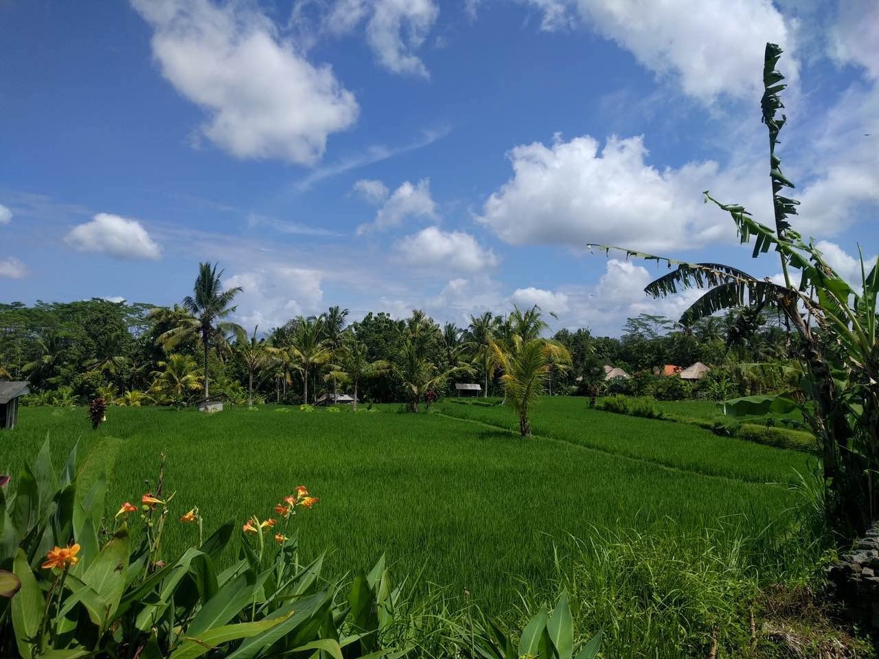 好羡慕别人能挣很多钱,环游世界的高薪工作有哪些