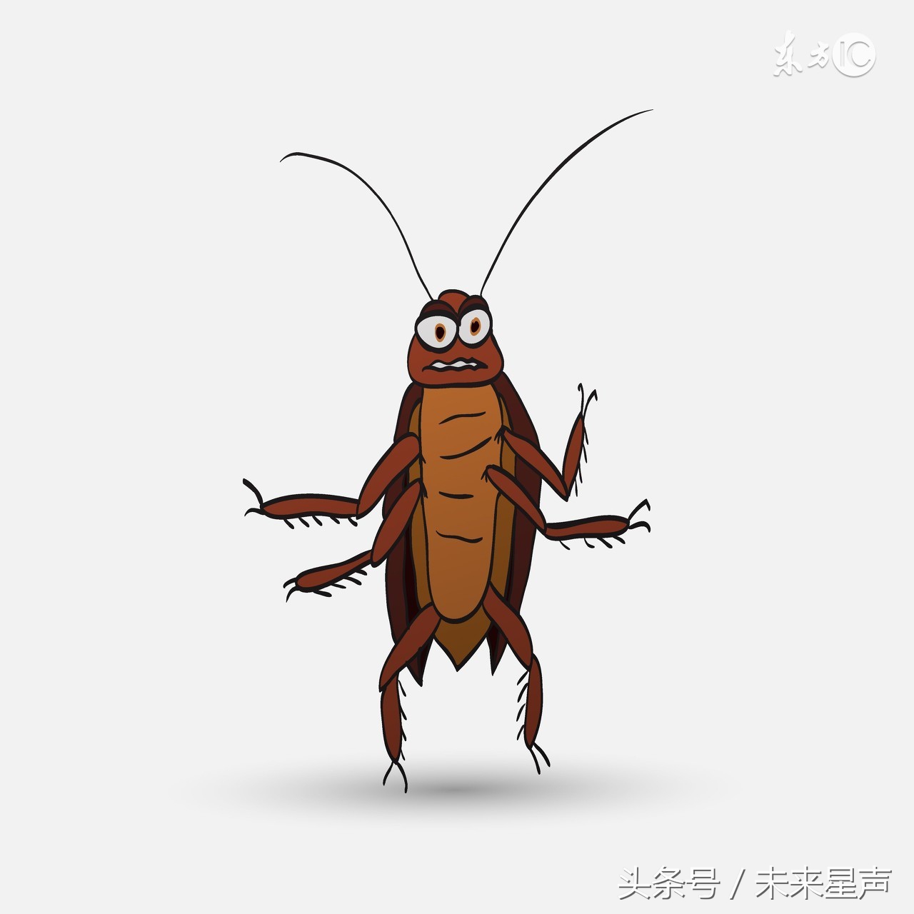 女生最害怕的这几种小动物，看看自己中招了没有