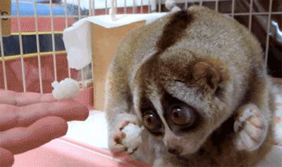 总有一瞬间感觉眼前的事发生过,总感觉要发生什么大事