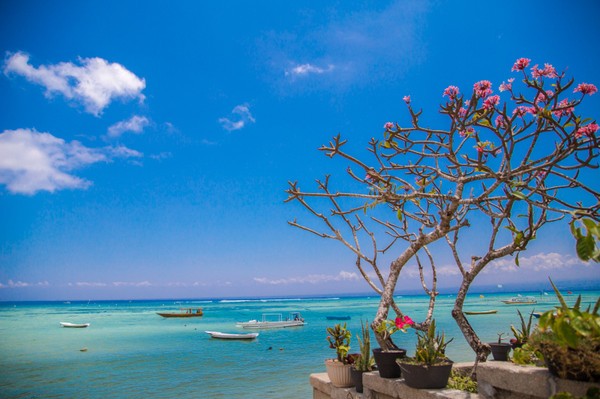 自由行秘籍，巴厘岛旁边的奇幻小岛——蓝梦岛