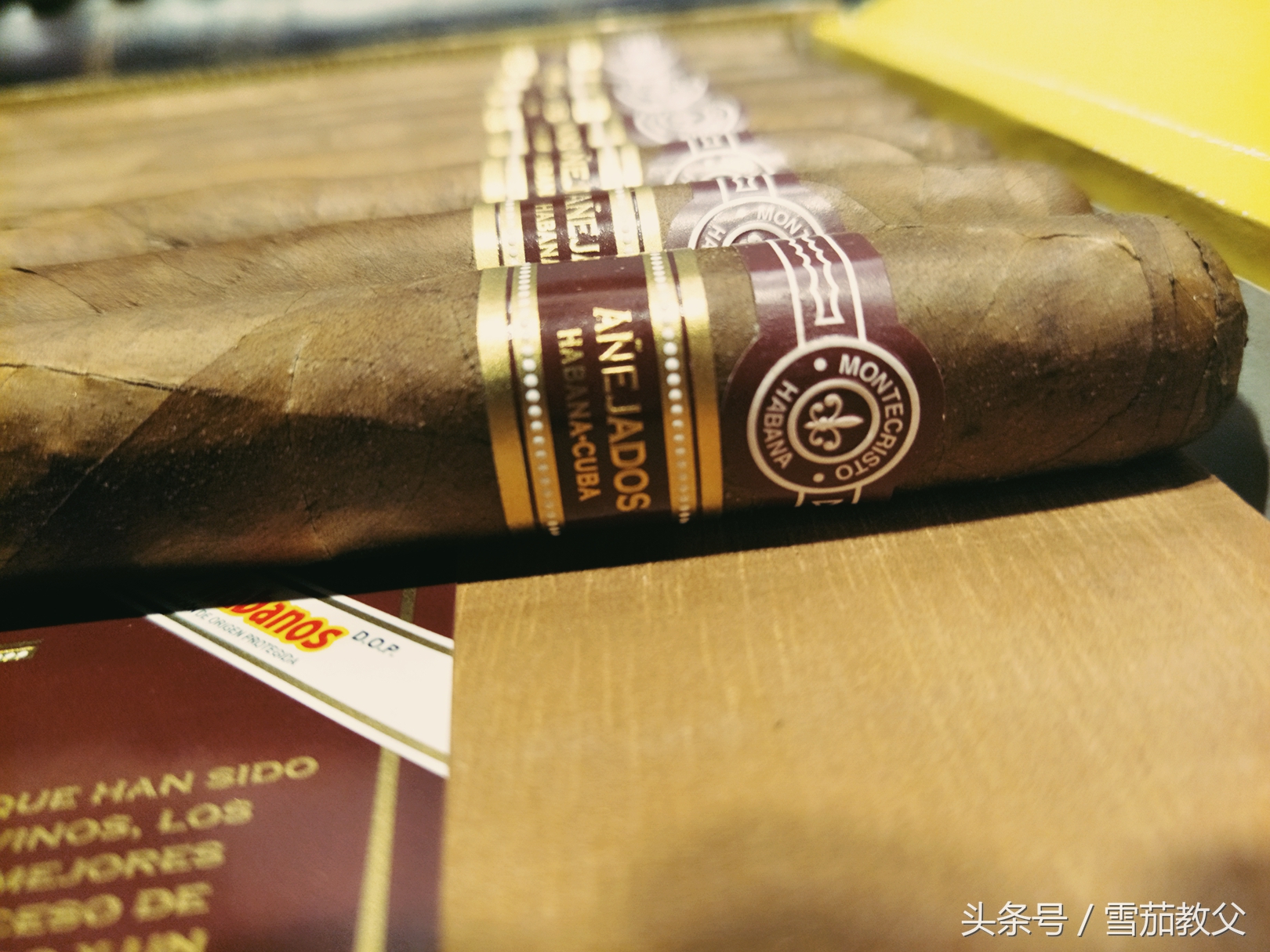新手雪茄客避坑指南,雪茄入门级口粮选择