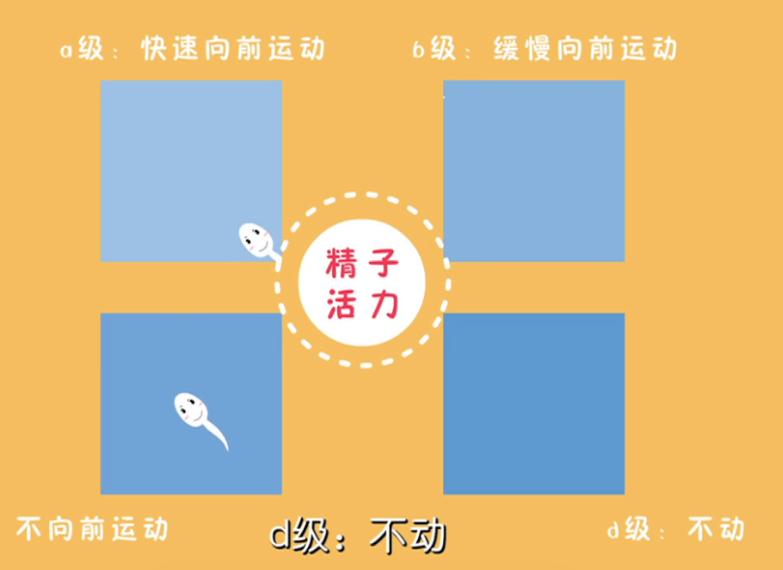 孕检6-8周检查哪些项目,19周孕检做什么检查项目