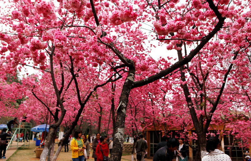 昆明市十大最穷的县,昆明发展最快的哪个县