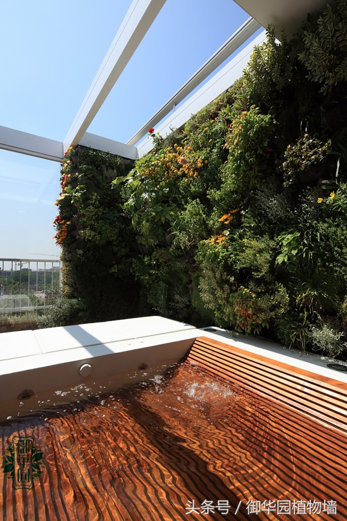 别墅植物墙设计费用,别墅大面积墙面设计