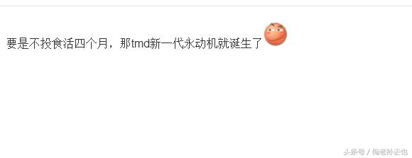 制作生态瓶发现了什么,制作生态瓶你发现了什么