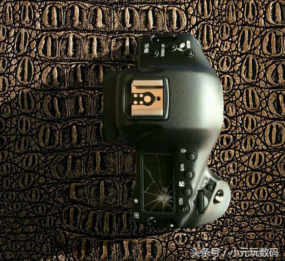 单反相机拿出去拍照丢人吗,使用单反相机应该注意的事项