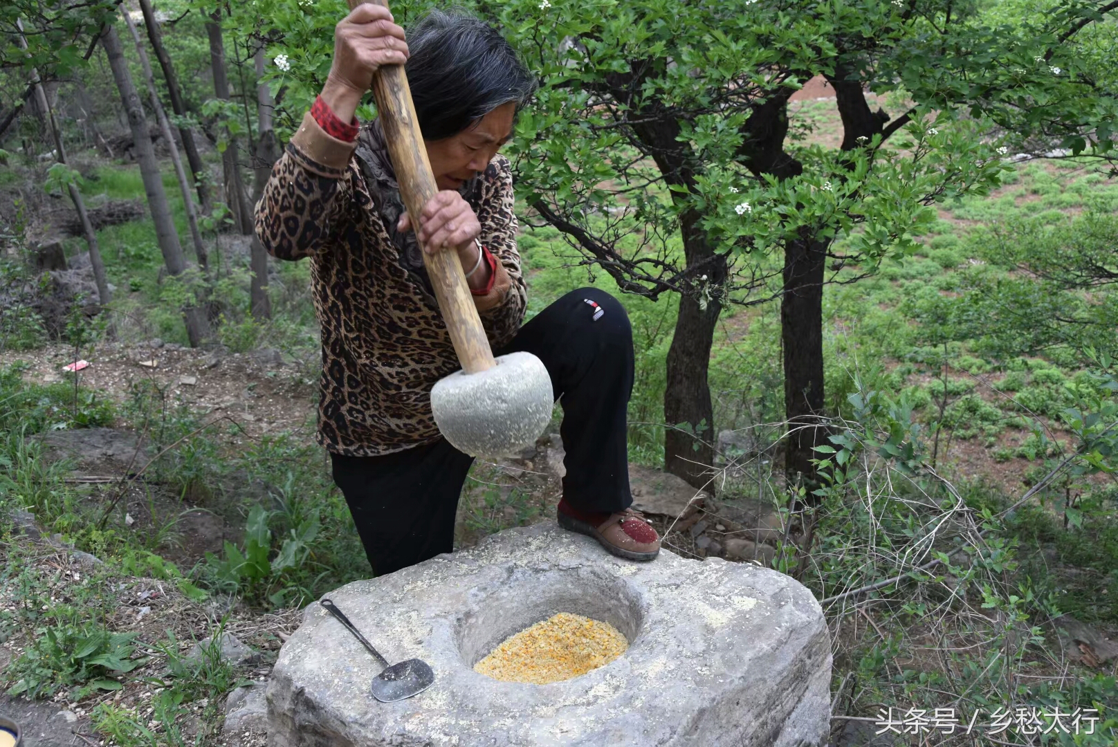 记在心底的玉黍米面条汤