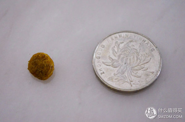 简单训犬小技能,简单学训犬