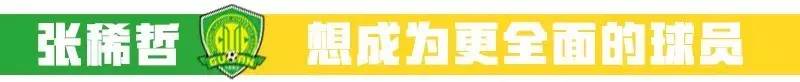 张稀哲国安外援,张稀哲助攻国安