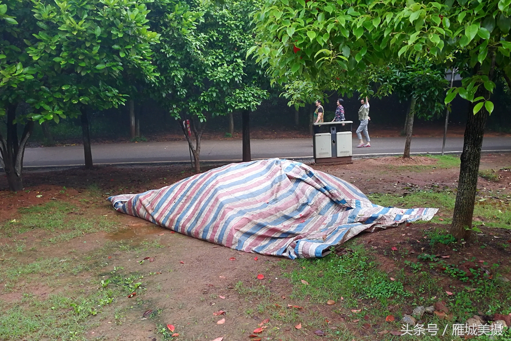 衡阳市平湖公园,衡阳平湖公园