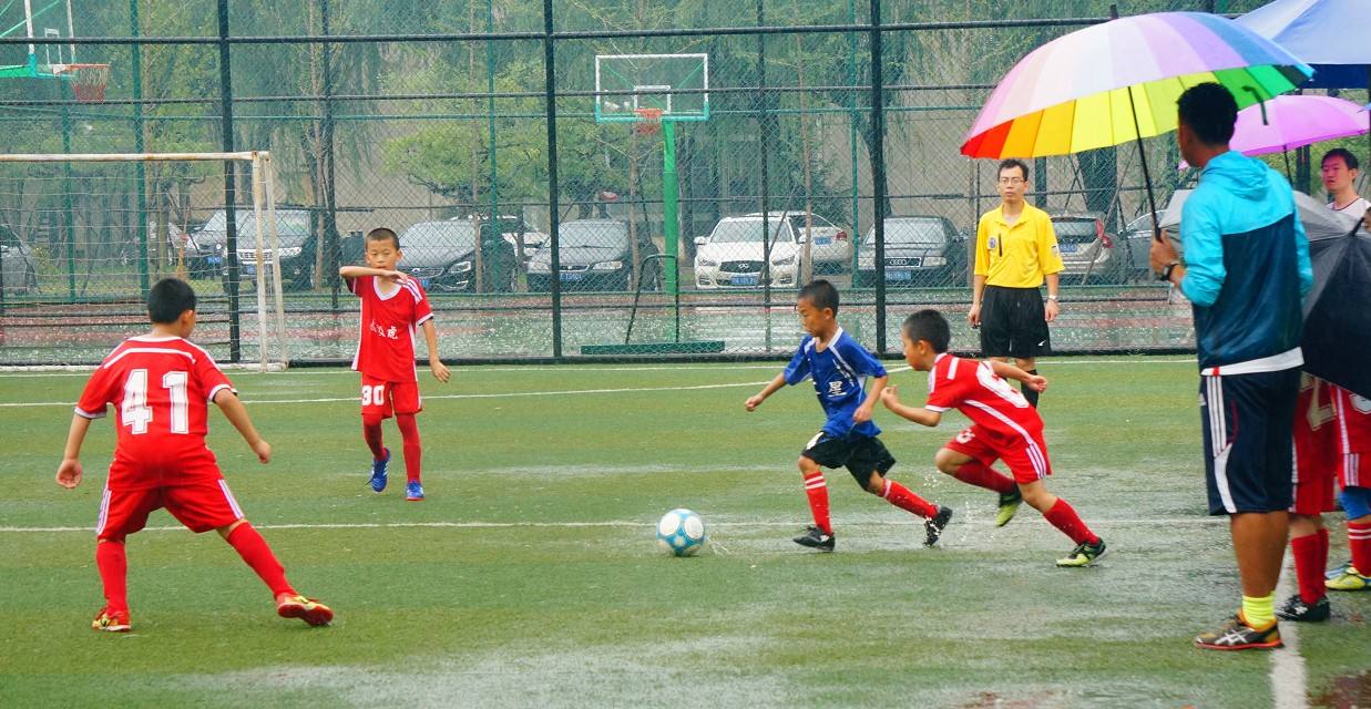 中国足球高不上去的原因,讨论分析中国足球的现状