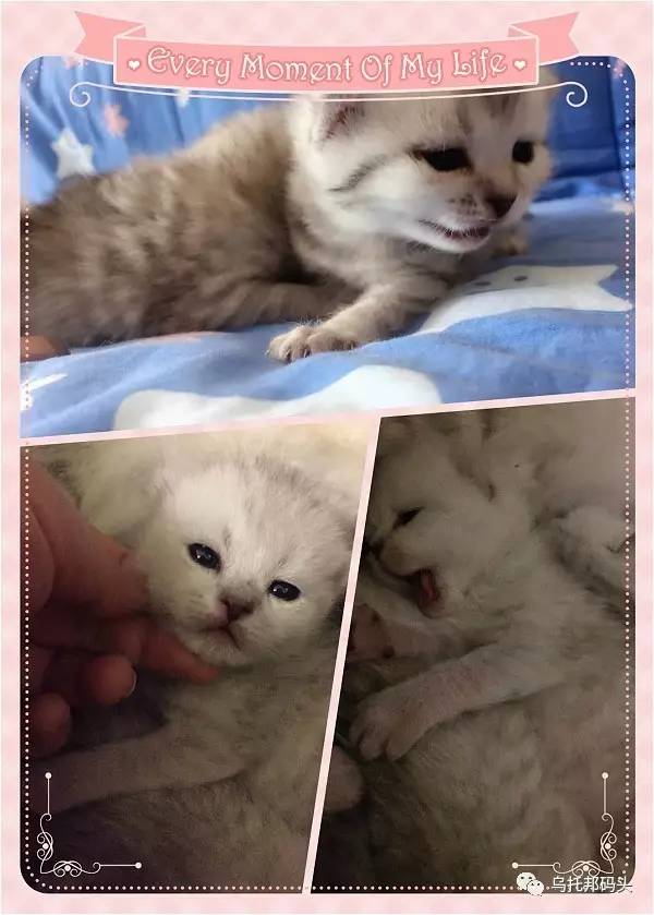 短文阅读：啥？还没上岗，就已经下岗了（第164篇）