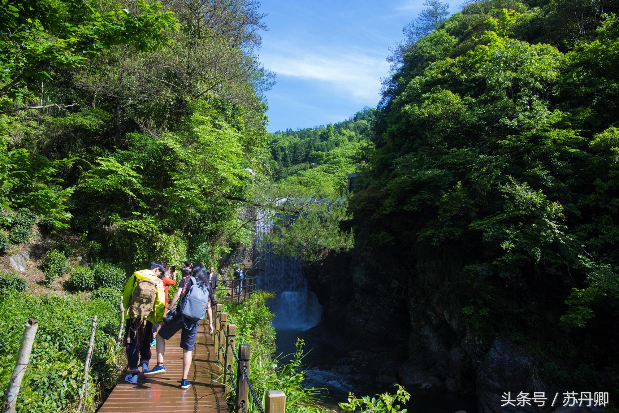 在水下洞穴探险,森林海自由潜水