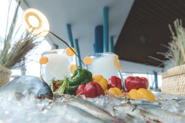 去了三亚去不了海边,去完三亚不看海