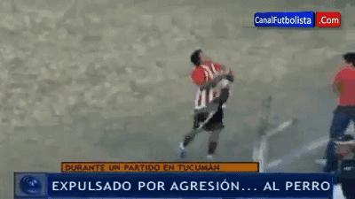 闯入足球场的动物,闯入者外国版叫什么