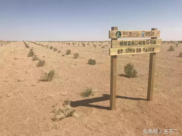 支付宝你神经病呀，再这样下去友谊的小船说翻就翻啦