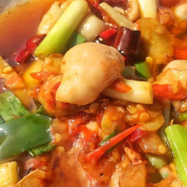 美食来咯完整视频,美食来啦这么多美食你吃过吗