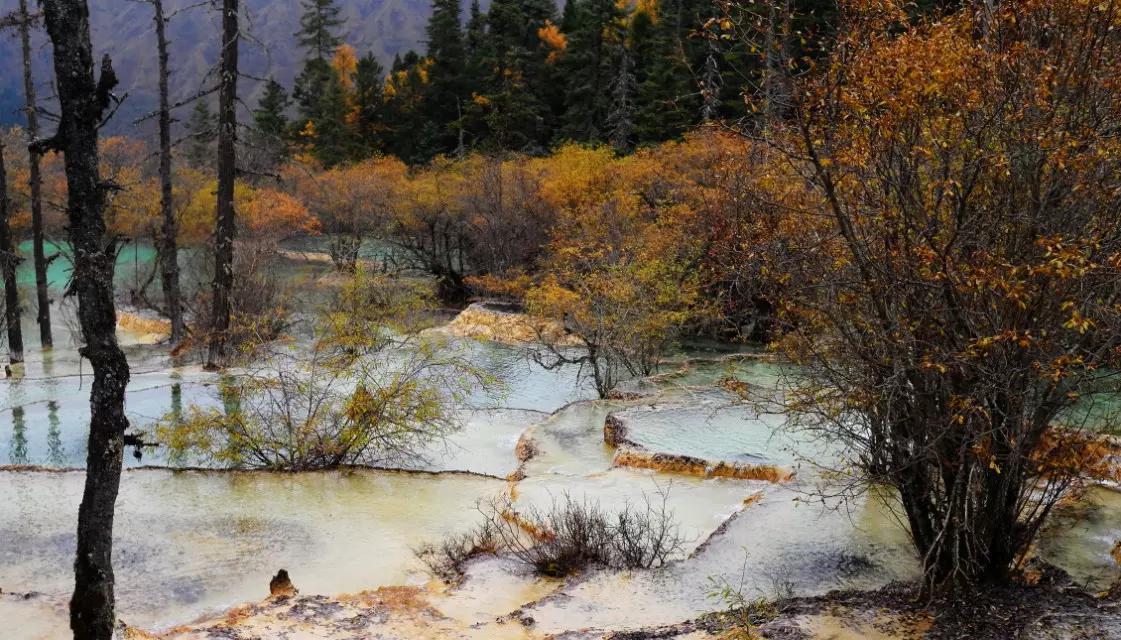 行走在风景里,记录旅游黄龙留下美好回忆