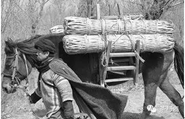 安化经典黑茶,湖北安化黑茶算不算名茶