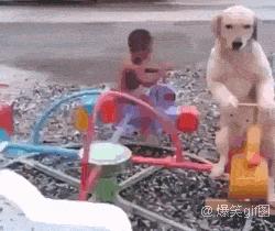 贴心数码｜求大神告知，妹子是什么意思（第12期）